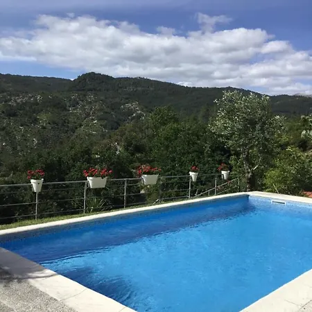 Casa Da Loja * 비에이라도미노