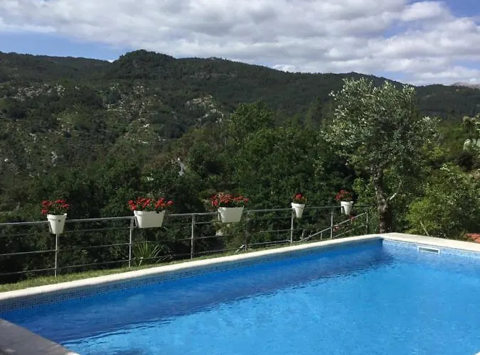 Casa Da Loja * 비에이라도미노